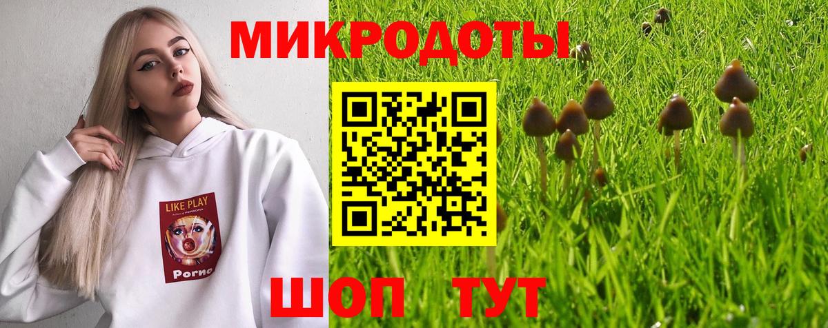 Железноводск  Галлюциногенные грибы Cubensis  Вход с VPN 