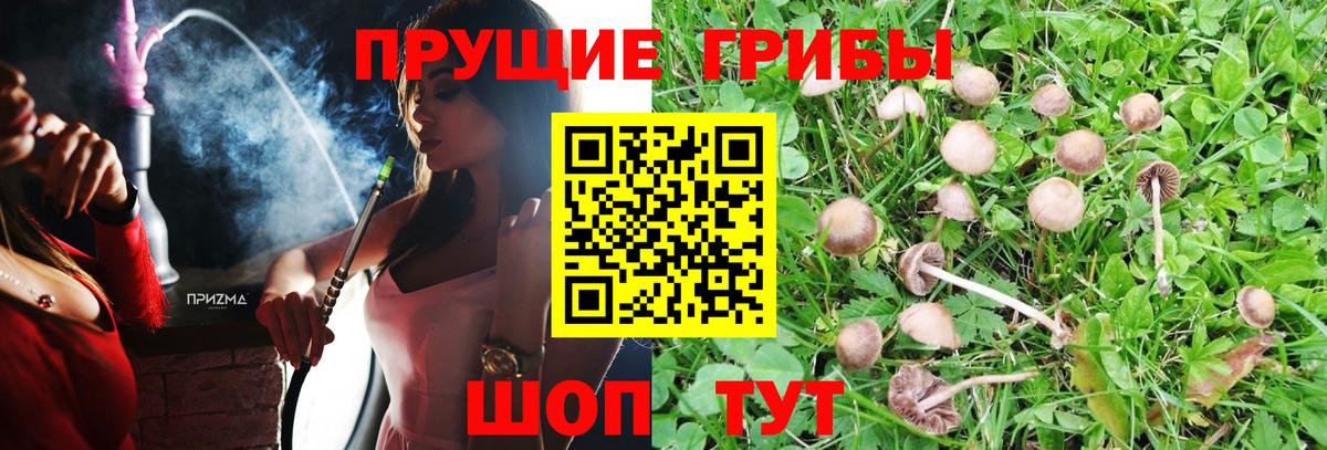 Псилоцибиновые грибы прущие грибы Железноводск